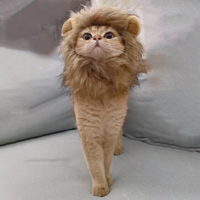 Diadema Divertida para Mascotas - Accesorios de Moda Cómica - Image 10