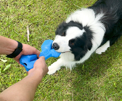 Juguete Interactivo Masticable para Perros con Dispensador de Alimento - Image 9