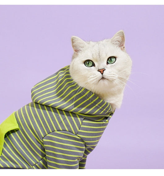 Suéter Térmico para Gatos con Cuello Alto - Image 9