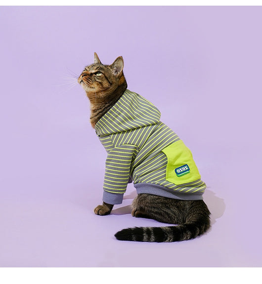 Suéter Térmico para Gatos con Cuello Alto - Image 13