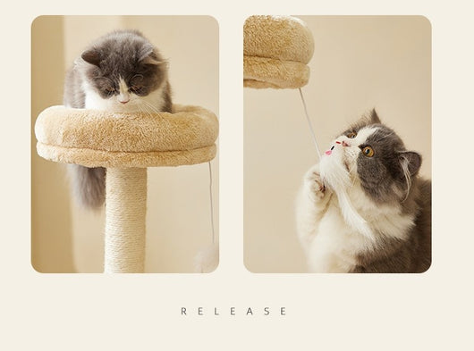 Árbol Rascador para Gatos de Madera Natural - Juguete Resistente sin Pelusa - Image 11
