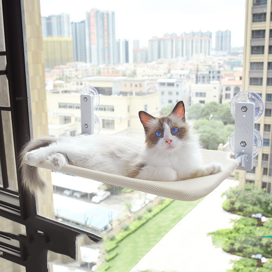 Hamaca de Ventana con Ventosas para Gatos - Cama Colgante de Vidrio - Image 13