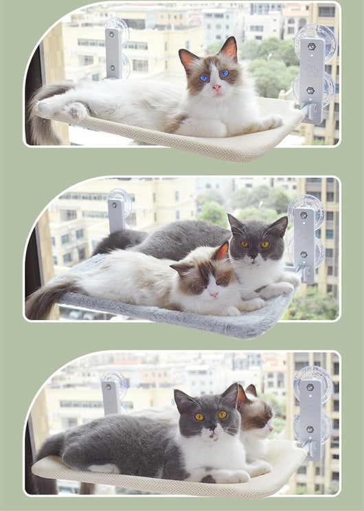 Hamaca de Ventana con Ventosas para Gatos - Cama Colgante de Vidrio - Image 14
