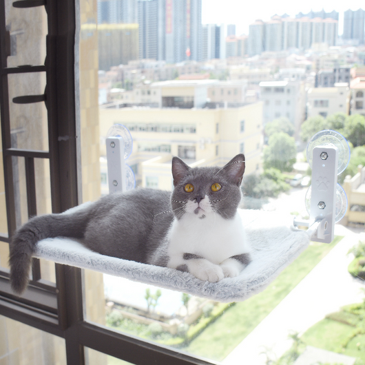 Hamaca de Ventana con Ventosas para Gatos - Cama Colgante de Vidrio - Image 17