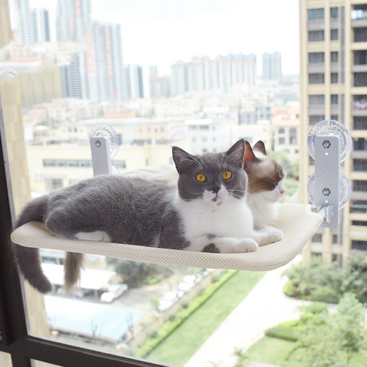Hamaca de Ventana con Ventosas para Gatos - Cama Colgante de Vidrio - Image 19