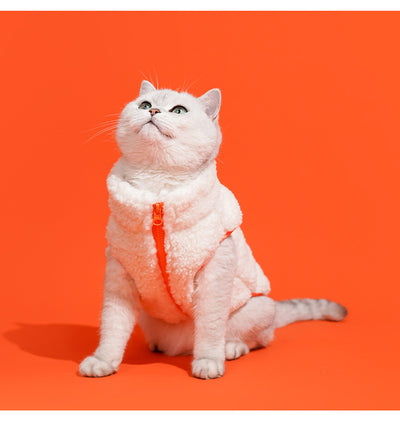 Chaleco Térmico de Cuello Alto para Gatos - Abrigo Invertido Terciopelo Invierno - Image 9