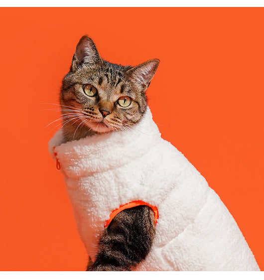 Chaleco Térmico de Cuello Alto para Gatos - Abrigo Invertido Terciopelo Invierno - Image 11