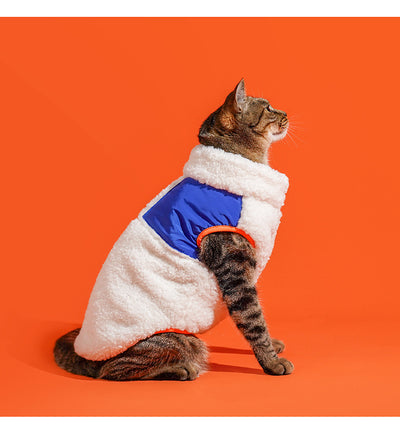 Chaleco Térmico de Cuello Alto para Gatos - Abrigo Invertido Terciopelo Invierno - Image 13