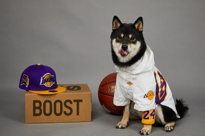 Chaqueta Impermeable de Poliéster para Mascotas - Image 10