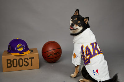 Chaqueta Impermeable de Poliéster para Mascotas - Image 11