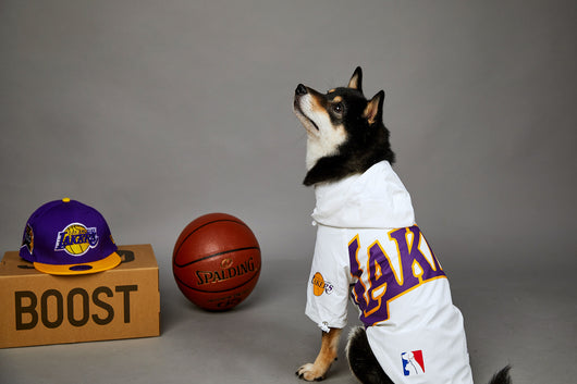 Chaqueta Impermeable de Poliéster para Mascotas - Image 12