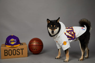 Chaqueta Impermeable de Poliéster para Mascotas - Image 13