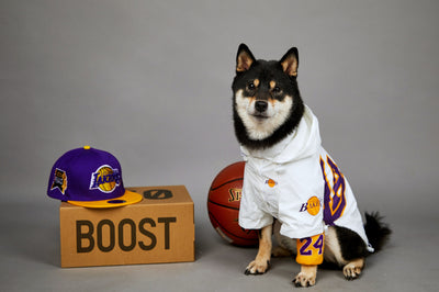 Chaqueta Impermeable de Poliéster para Mascotas - Image 15