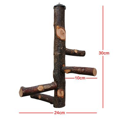DIY bird stand kit with natural apple wood perches, including a long main perch, four smaller perches, and metal hardware. - Image 9