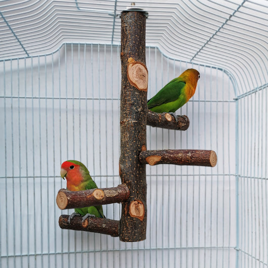 DIY bird stand kit with natural apple wood perches, including a long main perch, four smaller perches, and metal hardware. - Image 11