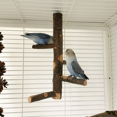 DIY bird stand kit with natural apple wood perches, including a long main perch, four smaller perches, and metal hardware. - Image 16