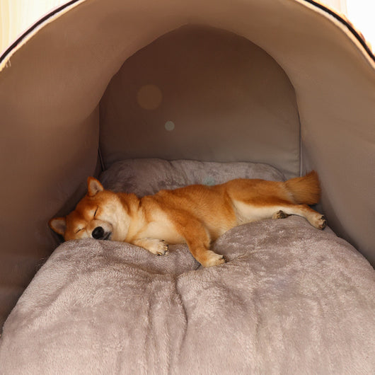 Casa Cómoda para Corgi y Shiba Inu con Cojín Removible y Lavable - Image 24