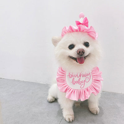 Pañuelo Fiesta Cumpleaños Perro y Gato - Babero Bandana Mascota con Diseño Joyero - Image 42