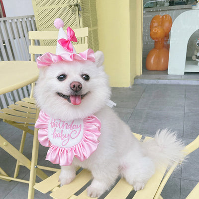 Pañuelo Fiesta Cumpleaños Perro y Gato - Babero Bandana Mascota con Diseño Joyero - Image 44