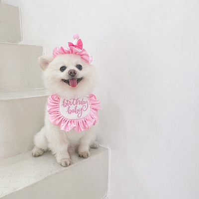 Pañuelo Fiesta Cumpleaños Perro y Gato - Babero Bandana Mascota con Diseño Joyero - Image 52