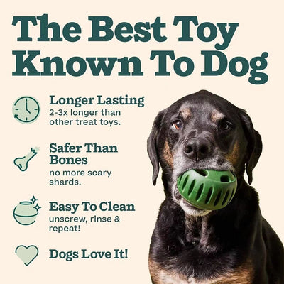 Green silicone dog treat dispensing toy ball next to a yellow silicone mold with three filled compartments. - Image 14