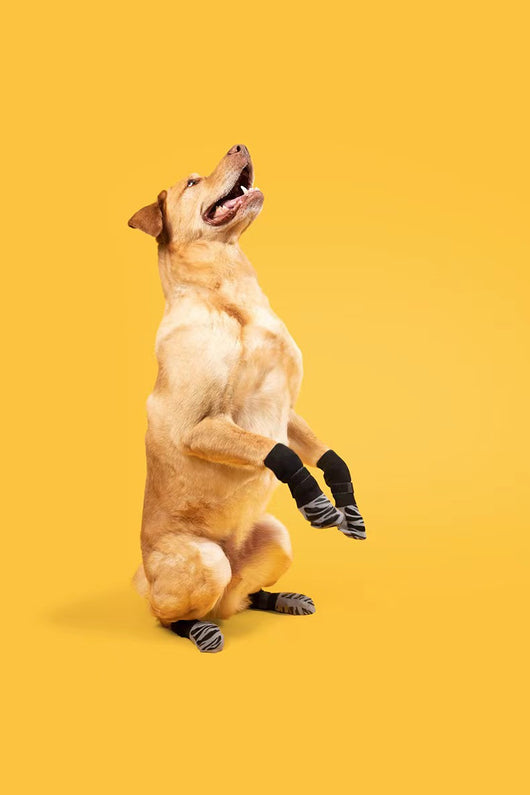 Zapatos Impermeables Antideslizantes para Mascotas - Protección Total para Perros y Gatos - Image 23