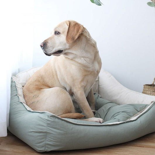 Caseta Desmontable para Perros Grandes - 4 Estaciones con Cojín Lavable - Image 8