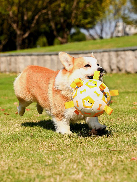 Orange and purple pet football toy with cartoon dinosaur-like characters and 'P' letters, featuring fabric loops and a strap. - Image 16