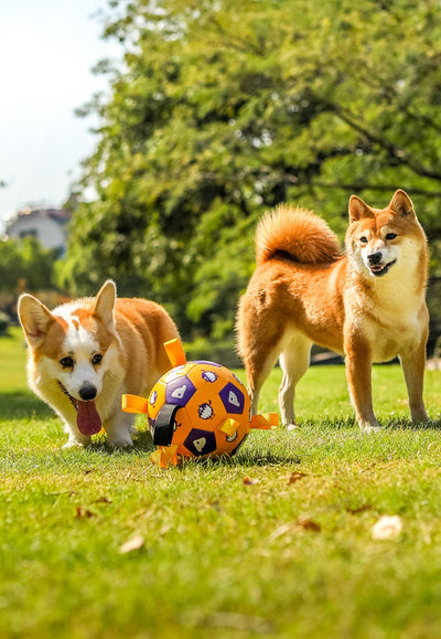 Orange and purple pet football toy with cartoon dinosaur-like characters and 'P' letters, featuring fabric loops and a strap. - Image 18