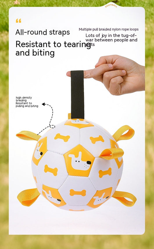 Orange and purple pet football toy with cartoon dinosaur-like characters and 'P' letters, featuring fabric loops and a strap. - Image 20