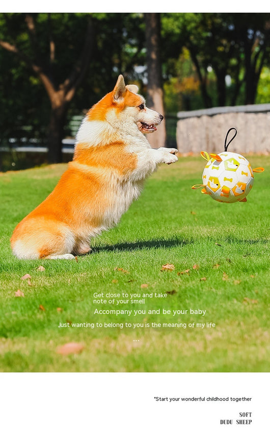 Orange and purple pet football toy with cartoon dinosaur-like characters and 'P' letters, featuring fabric loops and a strap. - Image 22
