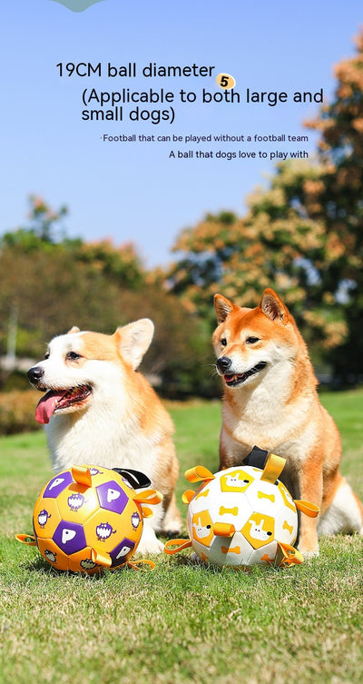Orange and purple pet football toy with cartoon dinosaur-like characters and 'P' letters, featuring fabric loops and a strap. - Image 24