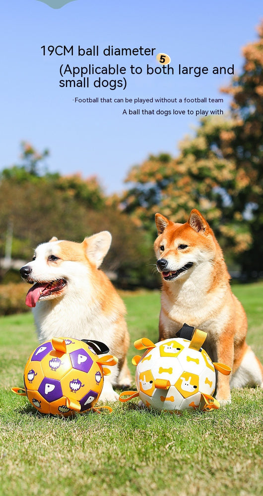 Orange and purple pet football toy with cartoon dinosaur-like characters and 'P' letters, featuring fabric loops and a strap. - Image 24