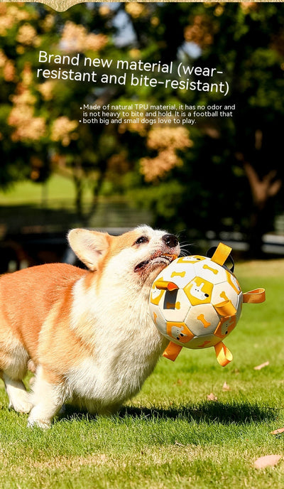 Orange and purple pet football toy with cartoon dinosaur-like characters and 'P' letters, featuring fabric loops and a strap. - Image 25
