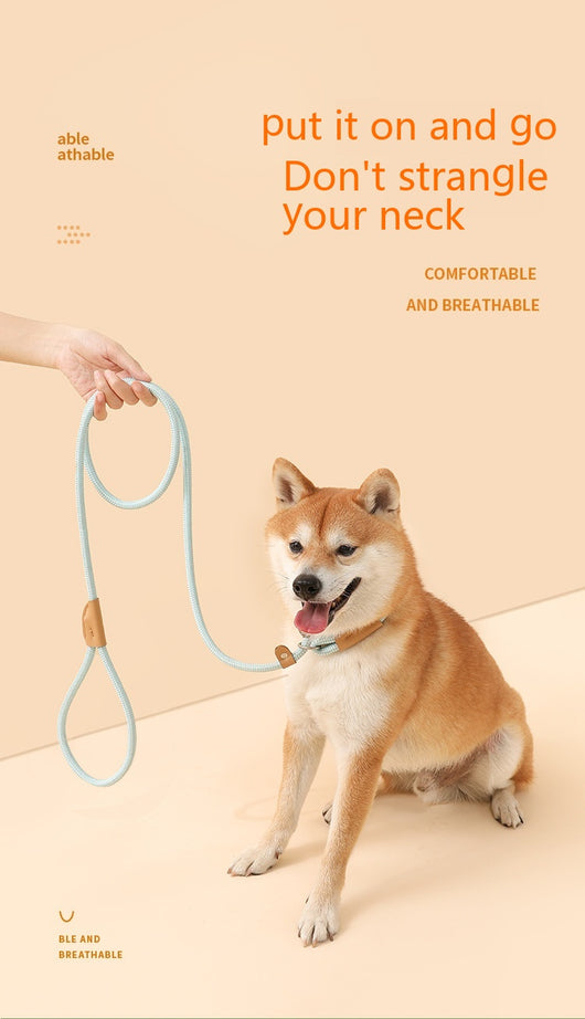Cuerda de Tracción para Perros - Agarre Cómodo y Seguro - Image 17