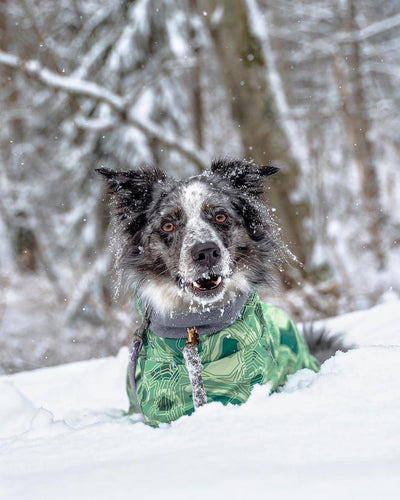 Abrigo Acolchado Impermeable para Perros Grandes - Protección Térmica Invierno - Image 36