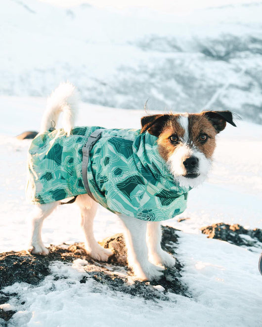 Abrigo Acolchado Impermeable para Perros Grandes - Protección Térmica Invierno - Image 37