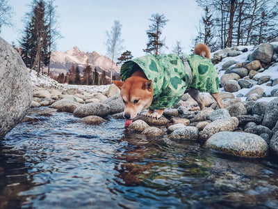 Abrigo Acolchado Impermeable para Perros Grandes - Protección Térmica Invierno - Image 44
