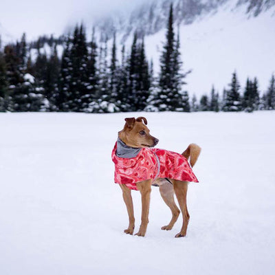 Abrigo Acolchado Impermeable para Perros Grandes - Protección Térmica Invierno - Image 52