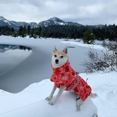 Abrigo Acolchado Impermeable para Perros Grandes - Protección Térmica Invierno - Image 58