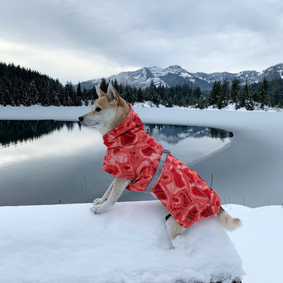 Abrigo Acolchado Impermeable para Perros Grandes - Protección Térmica Invierno - Image 59