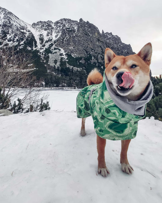 Abrigo Acolchado Impermeable para Perros Grandes - Protección Térmica Invierno - Image 61