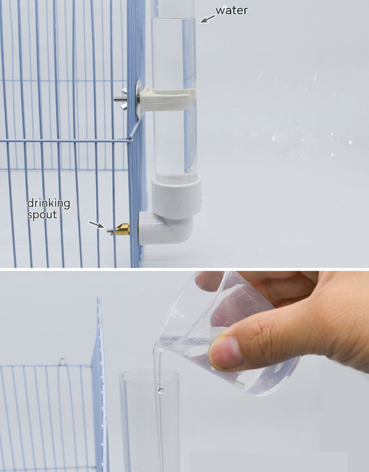 Bebedero Automático para Mascotas con Dispensador de Agua Grande - Image 14