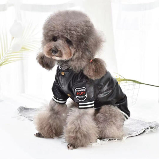 Abrigo de Cuero Acolchado para Perros Pequeños - Image 7