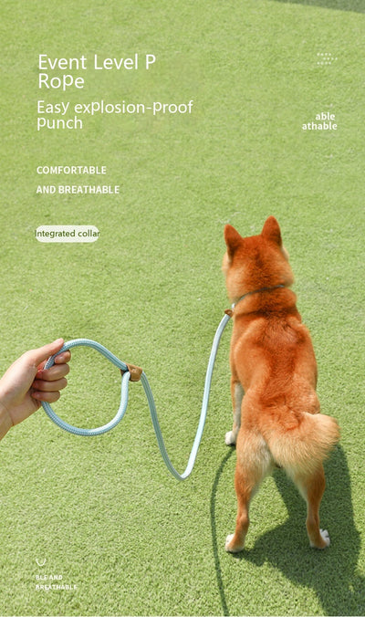 Cuerda de Tracción para Perros - Agarre Cómodo y Seguro - Image 25