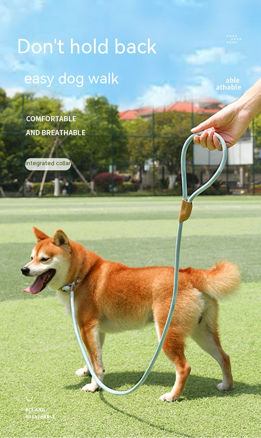 Cuerda de Tracción para Perros - Agarre Cómodo y Seguro - Image 26