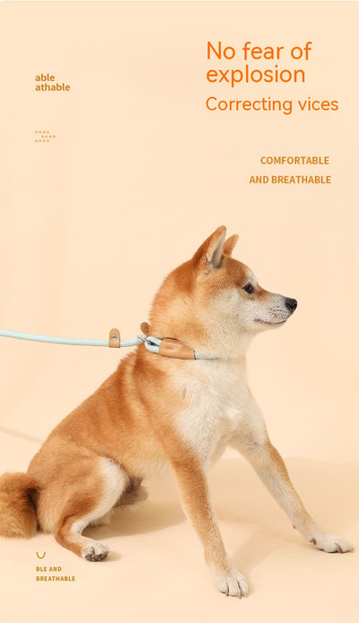 Cuerda de Tracción para Perros - Agarre Cómodo y Seguro - Image 27