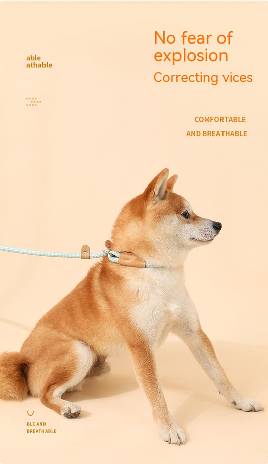 Cuerda de Tracción para Perros - Agarre Cómodo y Seguro - Image 27