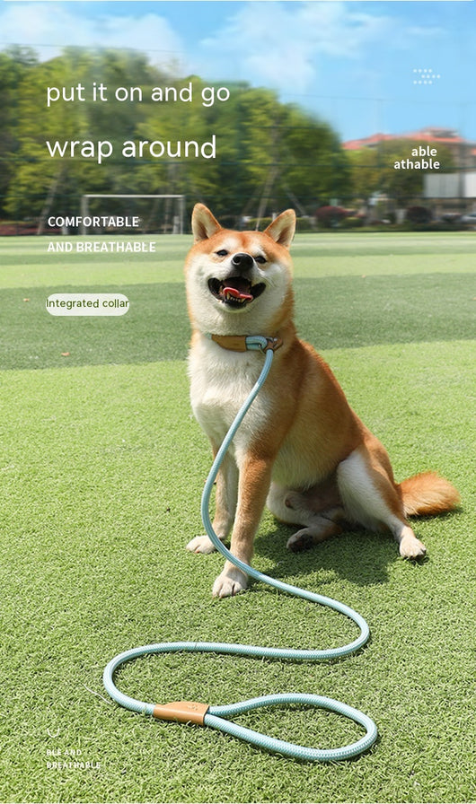 Cuerda de Tracción para Perros - Agarre Cómodo y Seguro - Image 30
