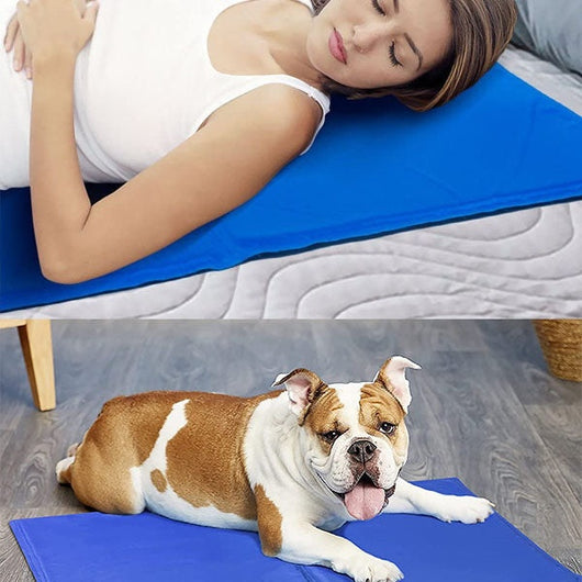 Colchoneta Impermeable y Resistente para Mascotas - Image 9